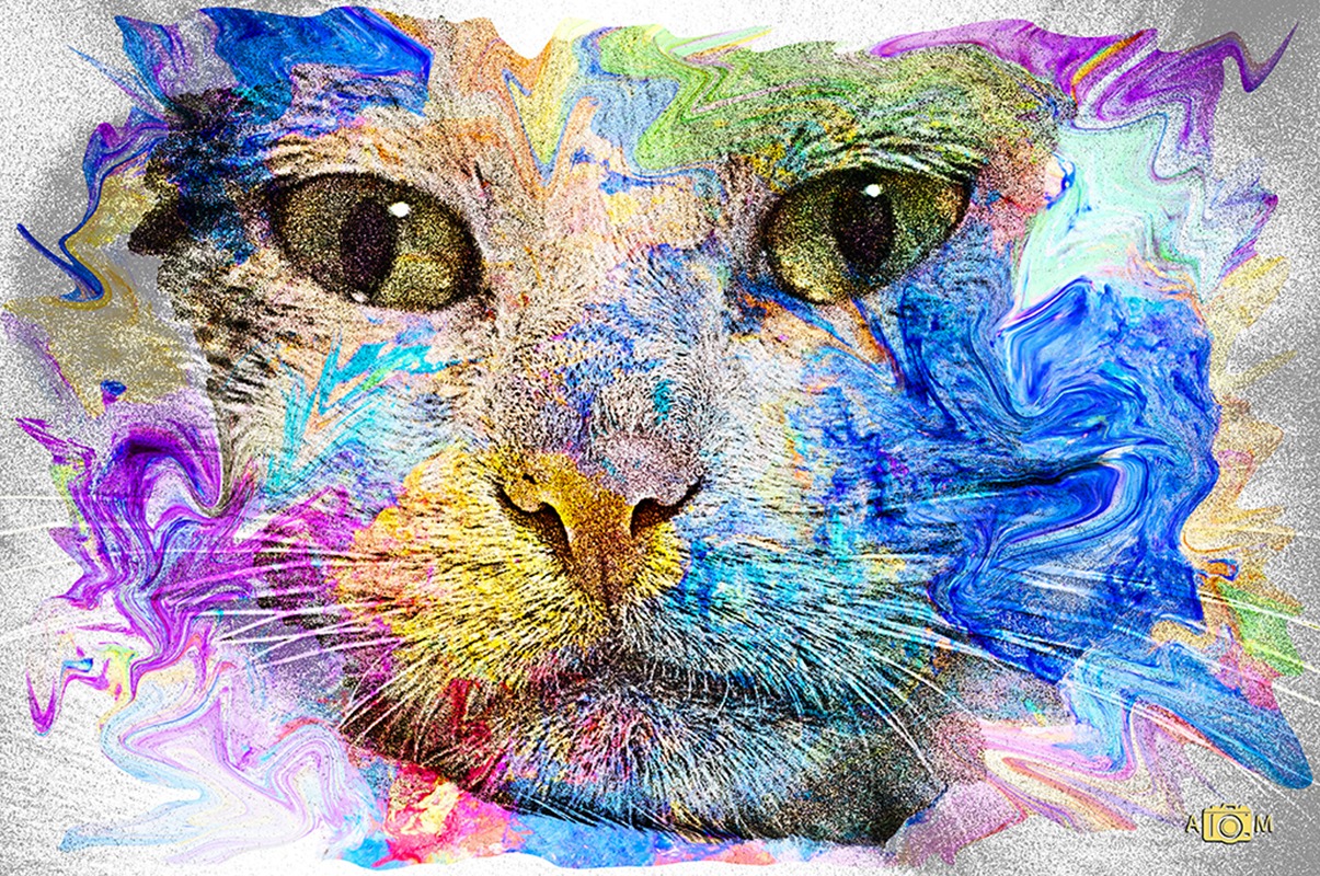 Tutti i colori del gatto Marubbi Alberto